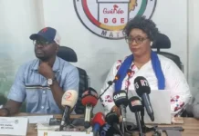 Élections en Guinée : Le cap des candidatures est franchi