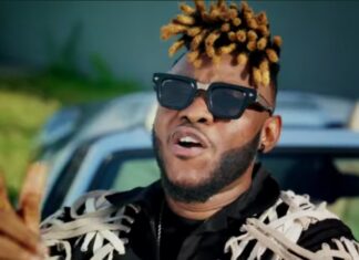 En route vers le Stade Petit Sory : Fish Killa lâche le clip « Bébé Nara »