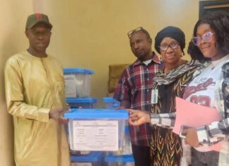 Vote de la diaspora : La Guinée active la phase internationale de sa logistique électorale