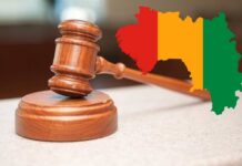 Tribune : Face au tribunal de l’aigreur, Mme Djénabou Touré Camara triomphe par la vérité des faits